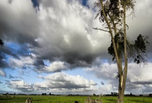 雨燕直播app怎么下载？安全下载及使用指南全解析